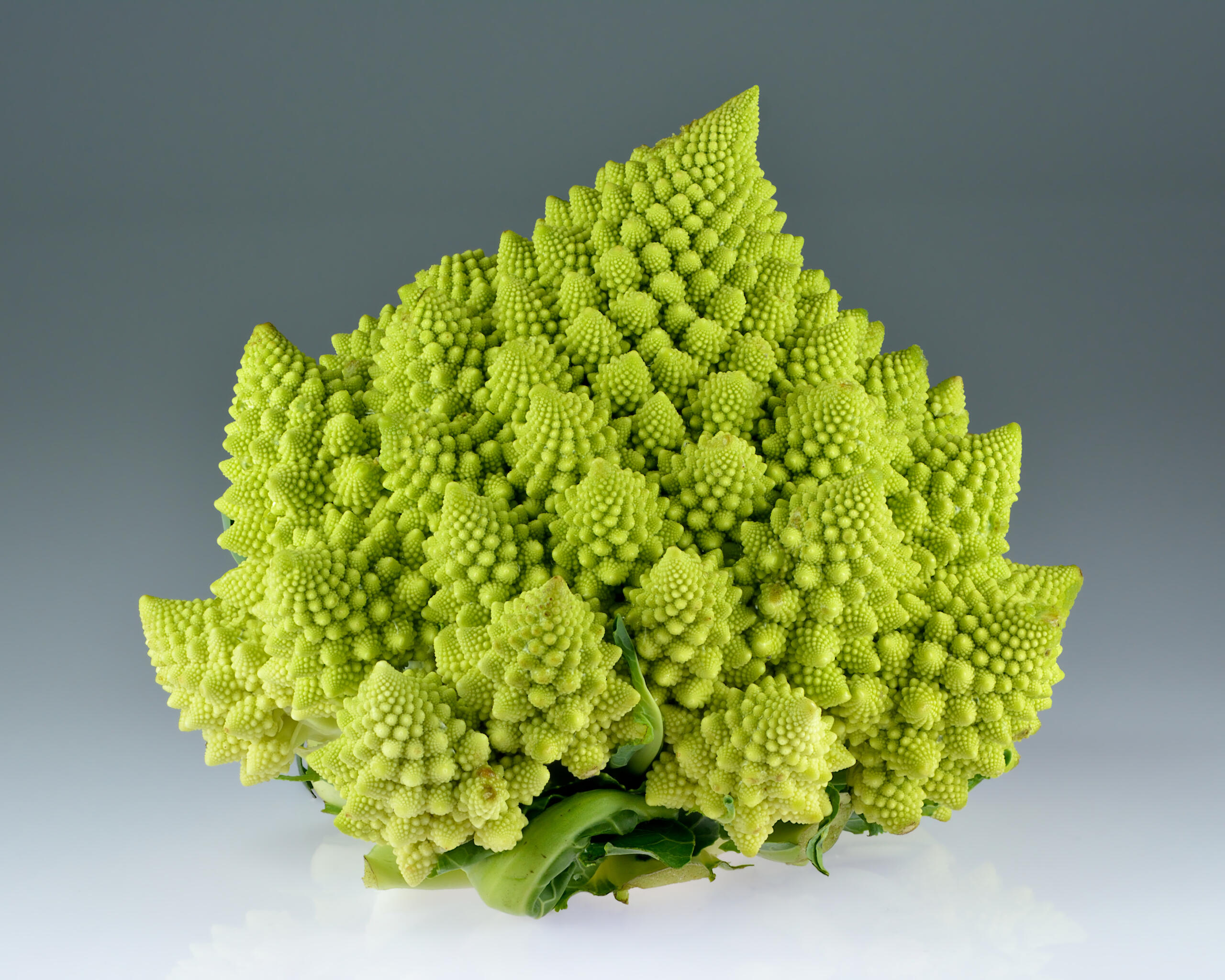 Retrato de un broccoli romanesco